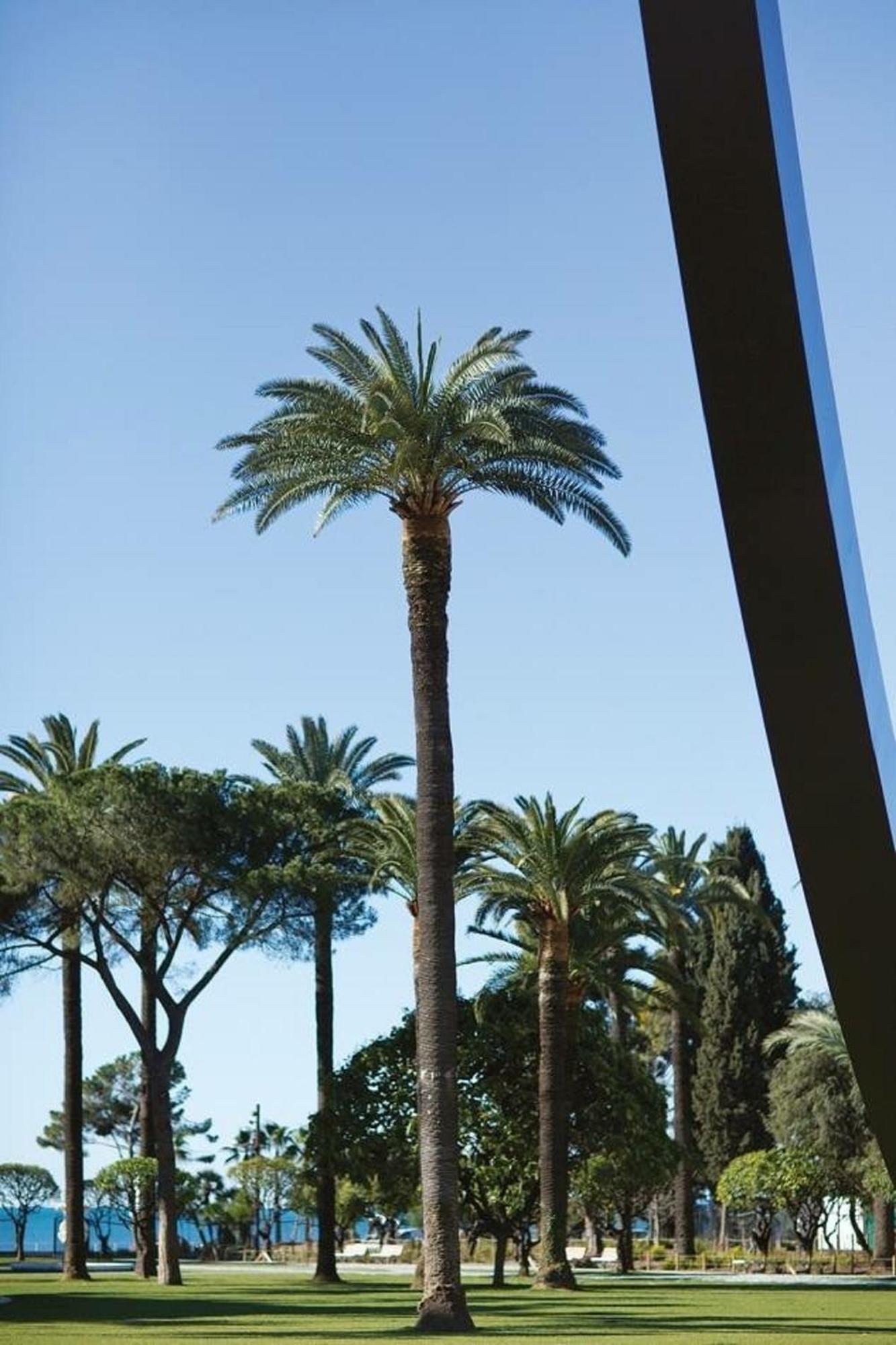 Apartment Sublime, Modern, Balconies, A/c, Refurbished Nice